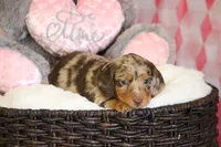 processed/8ab9cccb-5e3f-46c1-baee-a0842e027325/facility/f3be7736-e6da-4f96-836b-bfe2f5e38870