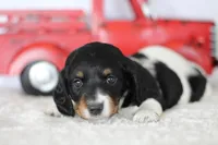 processed/8ab9cccb-5e3f-46c1-baee-a0842e027325/listing/abdeb151-6dc2-4592-a3b3-d209a9281276/10aac9e1-a498-422c-802f-43a4c6d2f4b5