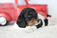 processed/8ab9cccb-5e3f-46c1-baee-a0842e027325/listing/abdeb151-6dc2-4592-a3b3-d209a9281276/11b65fef-03b1-4721-b1ec-0717d6d8b34a