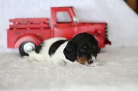 processed/8ab9cccb-5e3f-46c1-baee-a0842e027325/listing/abdeb151-6dc2-4592-a3b3-d209a9281276/337a84e1-023d-4042-b9a0-6f60ff41d24a