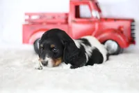 processed/8ab9cccb-5e3f-46c1-baee-a0842e027325/listing/abdeb151-6dc2-4592-a3b3-d209a9281276/581ed194-bf87-4388-82da-8135a6acbf52