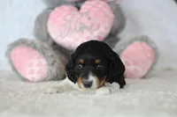 processed/8ab9cccb-5e3f-46c1-baee-a0842e027325/listing/abdeb151-6dc2-4592-a3b3-d209a9281276/a2636025-55e1-4757-bbc6-634ce1ac58dc