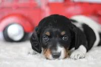 processed/8ab9cccb-5e3f-46c1-baee-a0842e027325/listing/abdeb151-6dc2-4592-a3b3-d209a9281276/e3e12bfe-7620-48d4-870e-60501ced0652