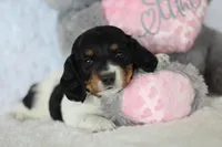 processed/8ab9cccb-5e3f-46c1-baee-a0842e027325/listing/abdeb151-6dc2-4592-a3b3-d209a9281276/f25332f4-1ce9-4a45-9e98-9296538e32cd