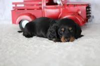 processed/8ab9cccb-5e3f-46c1-baee-a0842e027325/listing/f64e112f-74c1-476e-bc6d-803ae76397a3/25d94178-ec67-4417-9515-6fe9cb90e2a1