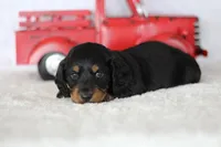 processed/8ab9cccb-5e3f-46c1-baee-a0842e027325/listing/f64e112f-74c1-476e-bc6d-803ae76397a3/3ac936d6-bfdf-47d0-ac2f-3d58d9bb20c1