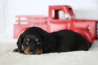 processed/8ab9cccb-5e3f-46c1-baee-a0842e027325/listing/f64e112f-74c1-476e-bc6d-803ae76397a3/432b65aa-ecb9-4ac5-a683-172435f316af