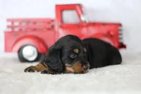 processed/8ab9cccb-5e3f-46c1-baee-a0842e027325/listing/f64e112f-74c1-476e-bc6d-803ae76397a3/44582161-2065-4afb-a881-fd5f6fde95a9