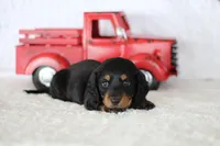 processed/8ab9cccb-5e3f-46c1-baee-a0842e027325/listing/f64e112f-74c1-476e-bc6d-803ae76397a3/a1ae57f6-12d3-4f09-aaef-d99e8410b79c