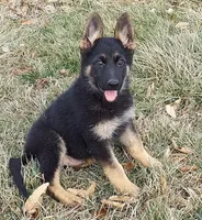 processed/8aba2be8-d43b-427f-8097-a8726f0f3e2c/listing/10e0bf7a-b743-4f53-b663-5dd8759a7791/7a0dc994-930c-446d-9721-929ba185a148