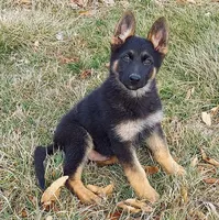 processed/8aba2be8-d43b-427f-8097-a8726f0f3e2c/listing/10e0bf7a-b743-4f53-b663-5dd8759a7791/c6c683f5-d449-422d-b8a1-3bcd4456e07e