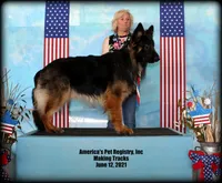 processed/8aba2be8-d43b-427f-8097-a8726f0f3e2c/listing/244e94eb-4ccf-4d15-946d-2611bcafc29e/205b12c4-b4e2-491c-b7dc-dac9e8eda1e6