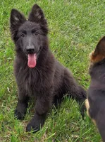 processed/8aba2be8-d43b-427f-8097-a8726f0f3e2c/listing/244e94eb-4ccf-4d15-946d-2611bcafc29e/27db661e-cd7b-4de0-a089-6f981bd1aeb0