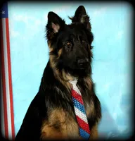 processed/8aba2be8-d43b-427f-8097-a8726f0f3e2c/listing/244e94eb-4ccf-4d15-946d-2611bcafc29e/cdc0f40d-261b-4d18-b22a-c2cd1535d8c2