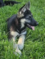 processed/8aba2be8-d43b-427f-8097-a8726f0f3e2c/listing/d638c2a7-b727-4462-a82b-8985b9bd50ca/2f242a73-8802-4f3f-8190-7056b67b3cc9