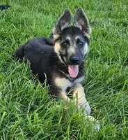 processed/8aba2be8-d43b-427f-8097-a8726f0f3e2c/listing/d638c2a7-b727-4462-a82b-8985b9bd50ca/46731edf-50ac-4572-8b0d-fe37fe7cb3ff