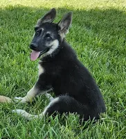 processed/8aba2be8-d43b-427f-8097-a8726f0f3e2c/listing/d638c2a7-b727-4462-a82b-8985b9bd50ca/4bf0aa3e-511d-4a92-acf0-bf8623b4fb77