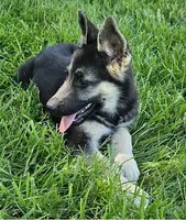 processed/8aba2be8-d43b-427f-8097-a8726f0f3e2c/listing/d638c2a7-b727-4462-a82b-8985b9bd50ca/ca01d5ae-6a45-4464-855a-f24cfde7fad1