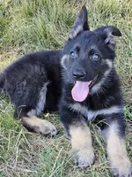 processed/8aba2be8-d43b-427f-8097-a8726f0f3e2c/listing/e6b24873-6973-47b4-a154-44fce2dd1f80/040c371f-db12-4ec7-a34c-c8577c6b2203