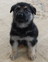 processed/8aba2be8-d43b-427f-8097-a8726f0f3e2c/listing/e6b24873-6973-47b4-a154-44fce2dd1f80/071922f3-c9cd-45d9-8d8e-8973cef1fe40