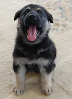 processed/8aba2be8-d43b-427f-8097-a8726f0f3e2c/listing/e6b24873-6973-47b4-a154-44fce2dd1f80/461144eb-ba86-4de4-85c8-637a3e655cf0