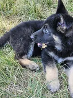 processed/8aba2be8-d43b-427f-8097-a8726f0f3e2c/listing/e6b24873-6973-47b4-a154-44fce2dd1f80/a0c15b01-a61d-4376-aabf-5c6daf10be96