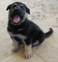 processed/8aba2be8-d43b-427f-8097-a8726f0f3e2c/listing/e6b24873-6973-47b4-a154-44fce2dd1f80/bfbdb927-406d-4d07-b8c4-2f94bff8cc97