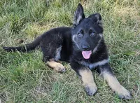 processed/8aba2be8-d43b-427f-8097-a8726f0f3e2c/listing/e6b24873-6973-47b4-a154-44fce2dd1f80/cb31fbc2-1683-4180-a44e-e5ef9ad2a432