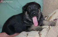 processed/8aba2be8-d43b-427f-8097-a8726f0f3e2c/listing/e6b24873-6973-47b4-a154-44fce2dd1f80/efae533c-0deb-4ab7-9ce5-9946b44fe3bb