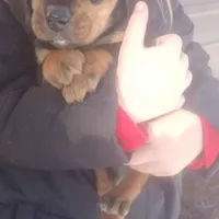 processed/8abed8f9-4d28-46aa-807e-f6f9c1d1c64e/facility/9e57e7d9-8a8f-4905-a0dc-989911f6e1fb