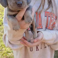 processed/8abed8f9-4d28-46aa-807e-f6f9c1d1c64e/facility/afeecbdc-e455-426f-a4f4-d63fd8d10451