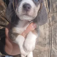 processed/8abed8f9-4d28-46aa-807e-f6f9c1d1c64e/facility/dd5b122c-1586-4fbd-9d05-c09ff0906bf3