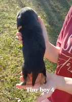 processed/8abed8f9-4d28-46aa-807e-f6f9c1d1c64e/listing/ddd05fb4-9192-44fd-8442-f8ca71518601/fa67a3e0-05bc-459e-95ca-58d29427b514