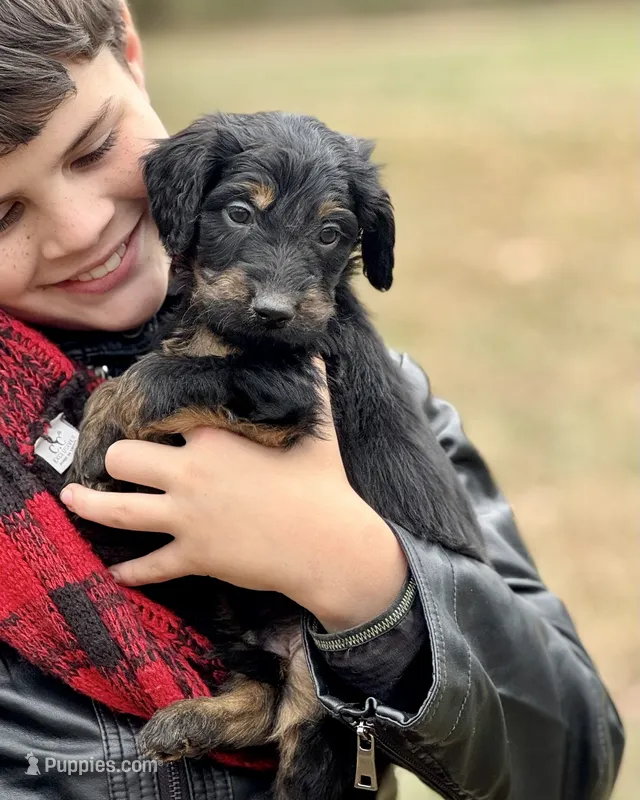 Bucky F1 - Training Started