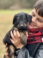 processed/8abff13c-03ea-4759-ba33-fd26724b81a5/listing/2853935d-fd50-4a88-9b0f-99c53f7eac24/c16656d3-ea55-4783-8eaf-55a0caabef1c