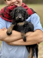 processed/8abff13c-03ea-4759-ba33-fd26724b81a5/listing/4308a1b7-9139-41eb-b6ff-0f19d29302d7/9838383f-f602-46d1-8165-b4712b2fd178