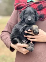 processed/8abff13c-03ea-4759-ba33-fd26724b81a5/listing/6b1f1a50-8278-49aa-99f6-affca5486a91/bdb0a9b9-b8f3-40da-b20c-149feaea6e98