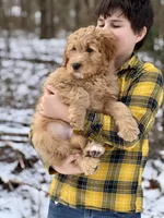 processed/8abff13c-03ea-4759-ba33-fd26724b81a5/listing/8fdce477-239b-4a49-baa0-c9b215bdce8b/8cab7fba-cc30-476b-aaae-76124e129b26