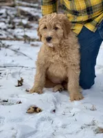 processed/8abff13c-03ea-4759-ba33-fd26724b81a5/listing/8fdce477-239b-4a49-baa0-c9b215bdce8b/9d6a356d-e1fd-4769-9ead-48ec9d6cb177