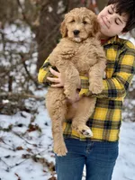 processed/8abff13c-03ea-4759-ba33-fd26724b81a5/listing/8fdce477-239b-4a49-baa0-c9b215bdce8b/e694e621-7999-4a30-bf1f-3dfc1e104c8c