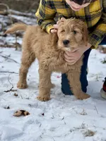 processed/8abff13c-03ea-4759-ba33-fd26724b81a5/listing/8fdce477-239b-4a49-baa0-c9b215bdce8b/ea796fc9-2ef4-4bd6-8acc-8abe61405ede