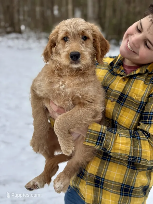 Elsa F1 - potty training begun