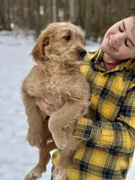 processed/8abff13c-03ea-4759-ba33-fd26724b81a5/listing/a4d1aba7-2bd5-4390-b6da-102f080fe092/5d98af43-a2bd-4970-900c-622cbbea864b