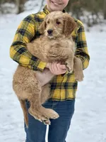 processed/8abff13c-03ea-4759-ba33-fd26724b81a5/listing/a4d1aba7-2bd5-4390-b6da-102f080fe092/bd67a549-dd5a-4015-83b7-6c6916fa2327