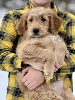 processed/8abff13c-03ea-4759-ba33-fd26724b81a5/listing/a4d1aba7-2bd5-4390-b6da-102f080fe092/fe90ba23-f129-480e-bad6-dab7eaea063f