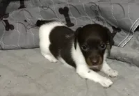 processed/8ac8e85c-527c-4b85-9726-3bfbbe7320d3/listing/5d7ba9ec-138b-4f1a-a4ab-ed13da82a652/dc1509d6-bd8e-421b-98b6-1f9c286328db