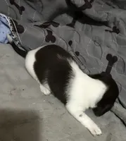 processed/8ac8e85c-527c-4b85-9726-3bfbbe7320d3/listing/5d7ba9ec-138b-4f1a-a4ab-ed13da82a652/eb3ec6a7-fe29-4fb6-bf91-12ec5dc1e163