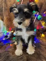 processed/8acbbf8e-a6ab-4995-aa79-142e3b9c0c48/listing/20006a4a-74ce-4d5c-b435-8372911b4d90/a1372e35-3064-43b5-9c9c-b61a00ed372d