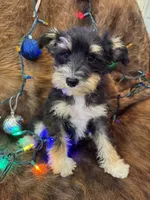 processed/8acbbf8e-a6ab-4995-aa79-142e3b9c0c48/listing/20006a4a-74ce-4d5c-b435-8372911b4d90/cde7cb50-3147-41e2-ba61-1a54e11ee915