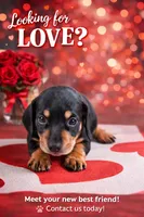 processed/8ad34f62-e80c-420e-93ab-eb3e2e891d13/listing/750ef832-fa70-4793-9637-8df1b029d420/15a706c1-fb5e-4ab8-ad85-3c8dfeb79a44